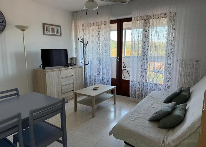 Banyuls-sur-mer: F2 Avec Loggia Et Parking, Proche - Fr-1-309-166 *